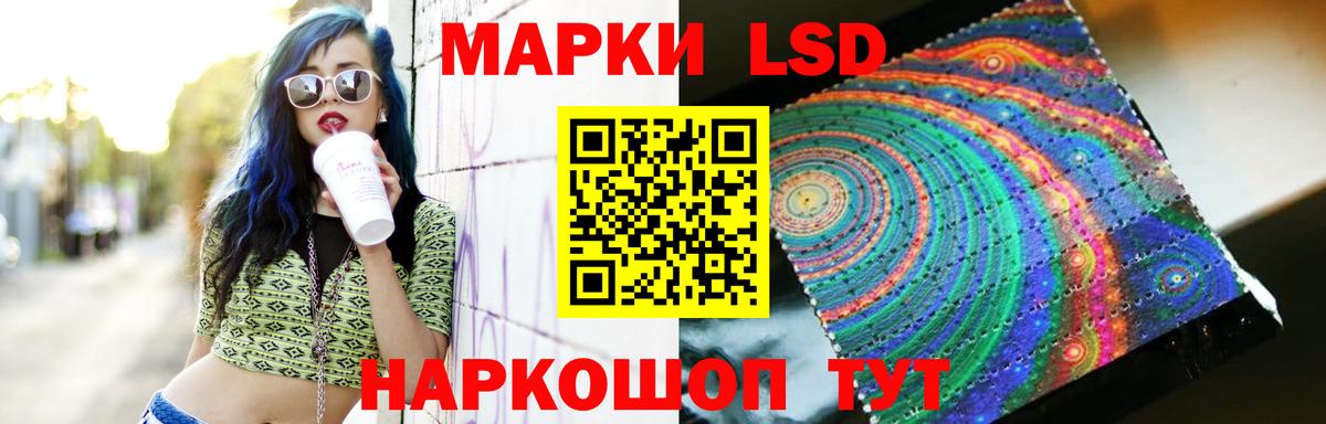 Псилоцибиновые грибы Дагестанские Огни