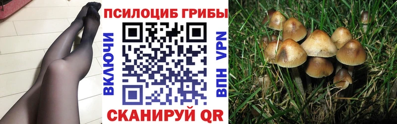 Псилоцибиновые грибы прущие грибы  ОМГ ОМГ маркетплейс  Дагестанские Огни 