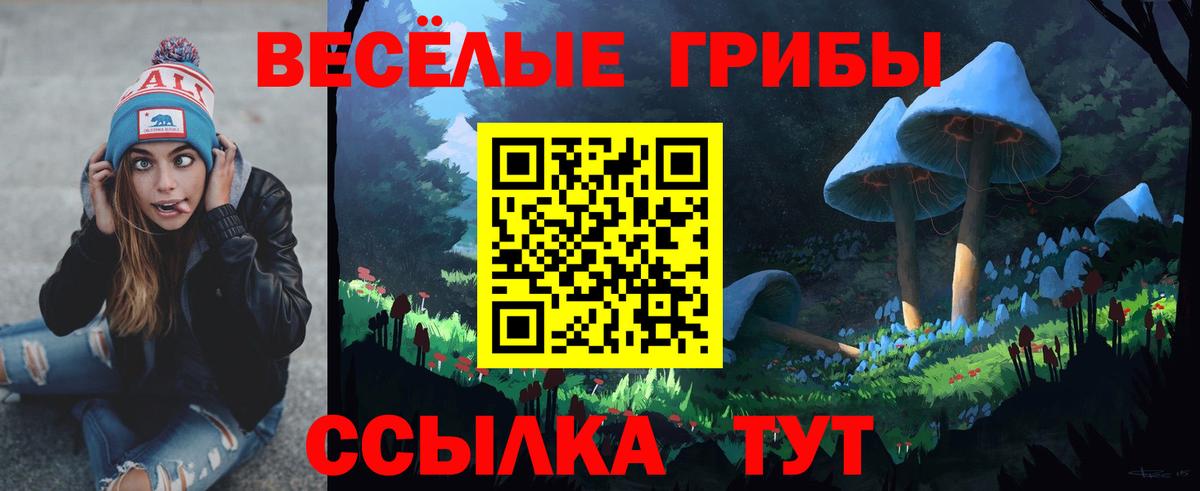 Псилоцибиновые грибы Magic Shrooms Дагестанские Огни