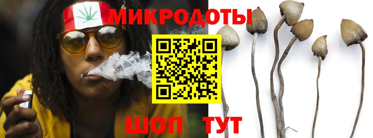 Дагестанские Огни  Псилоцибиновые грибы мухоморы  Вход с VPN 